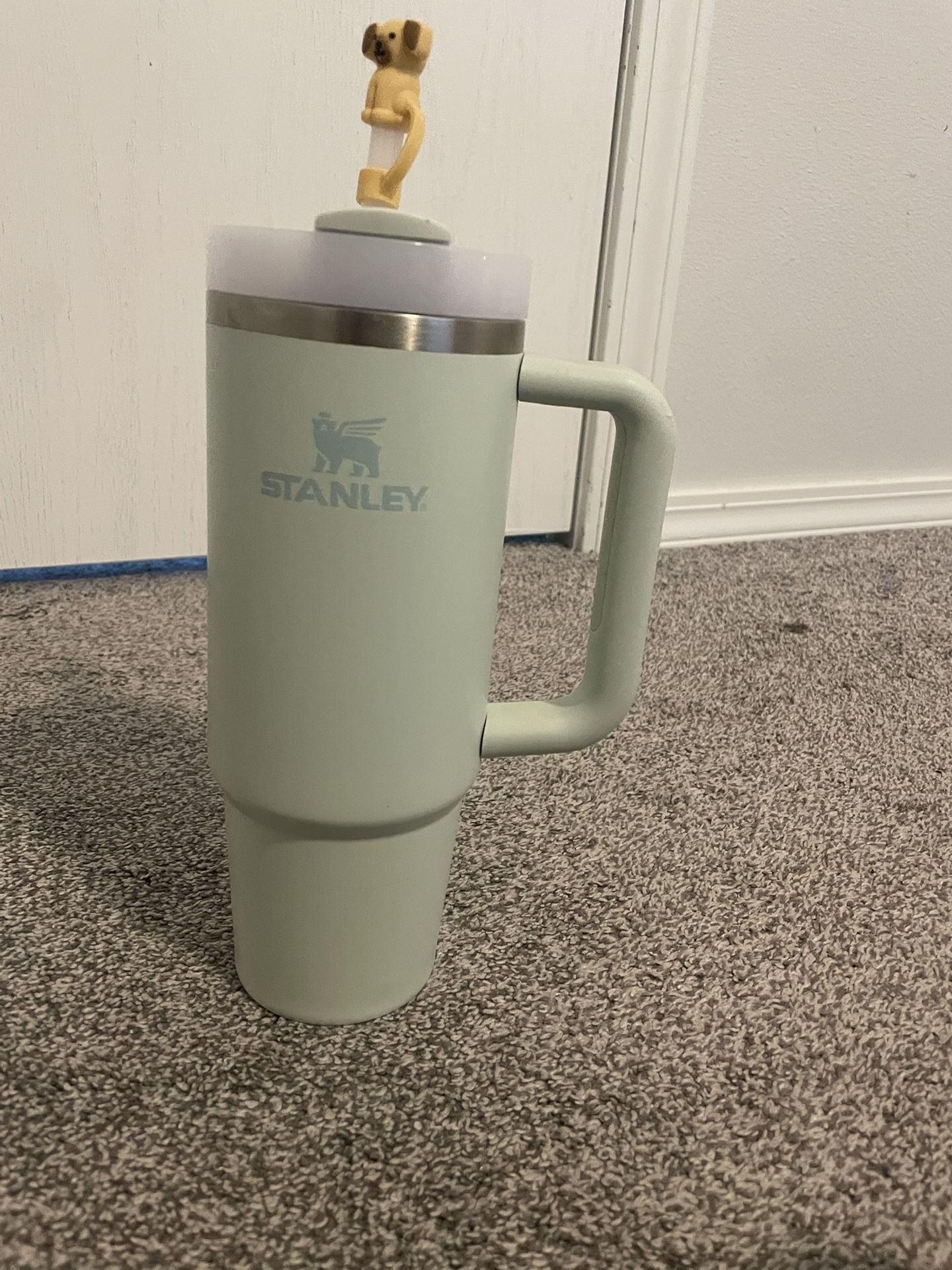 Light Green Stanley 30oz Tumbler Good condition