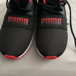 Puma 6c