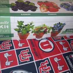 Veggie Grow Kit
