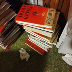 Danielle Steel Hardback And Paper Back Books