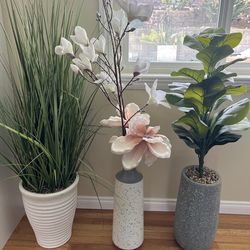 Decorative floor plants and small end tables