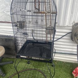 Bird Cage 
