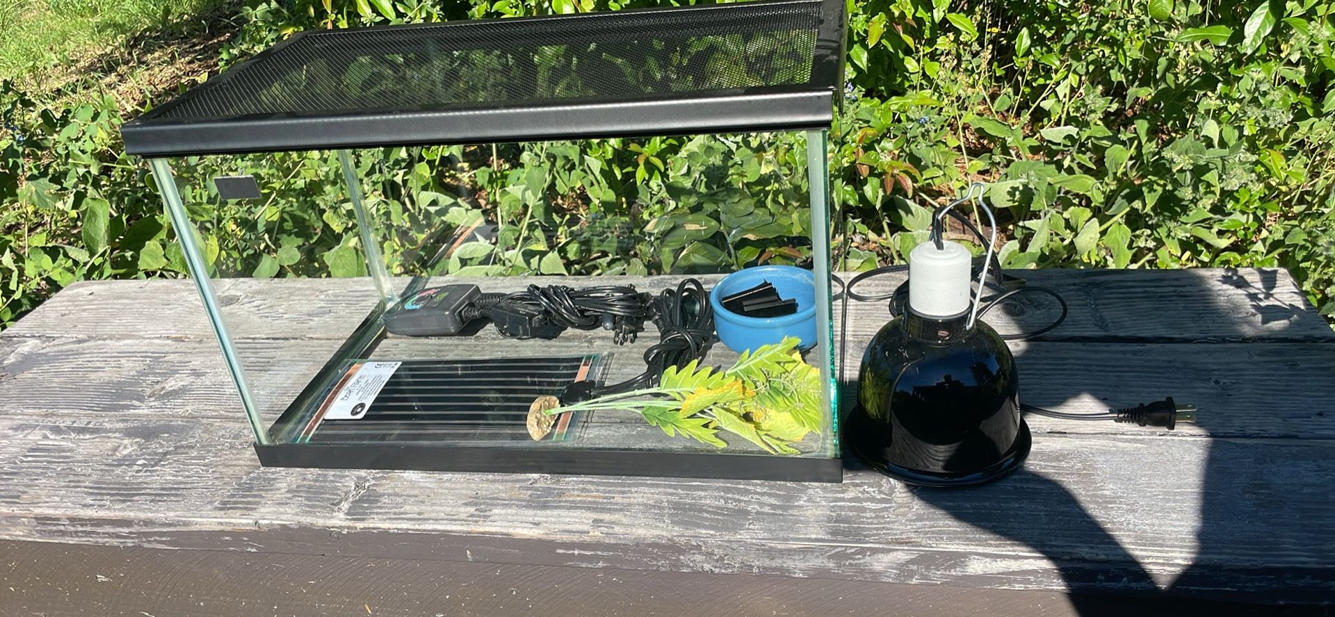 10 Gallon Tank With Supplies