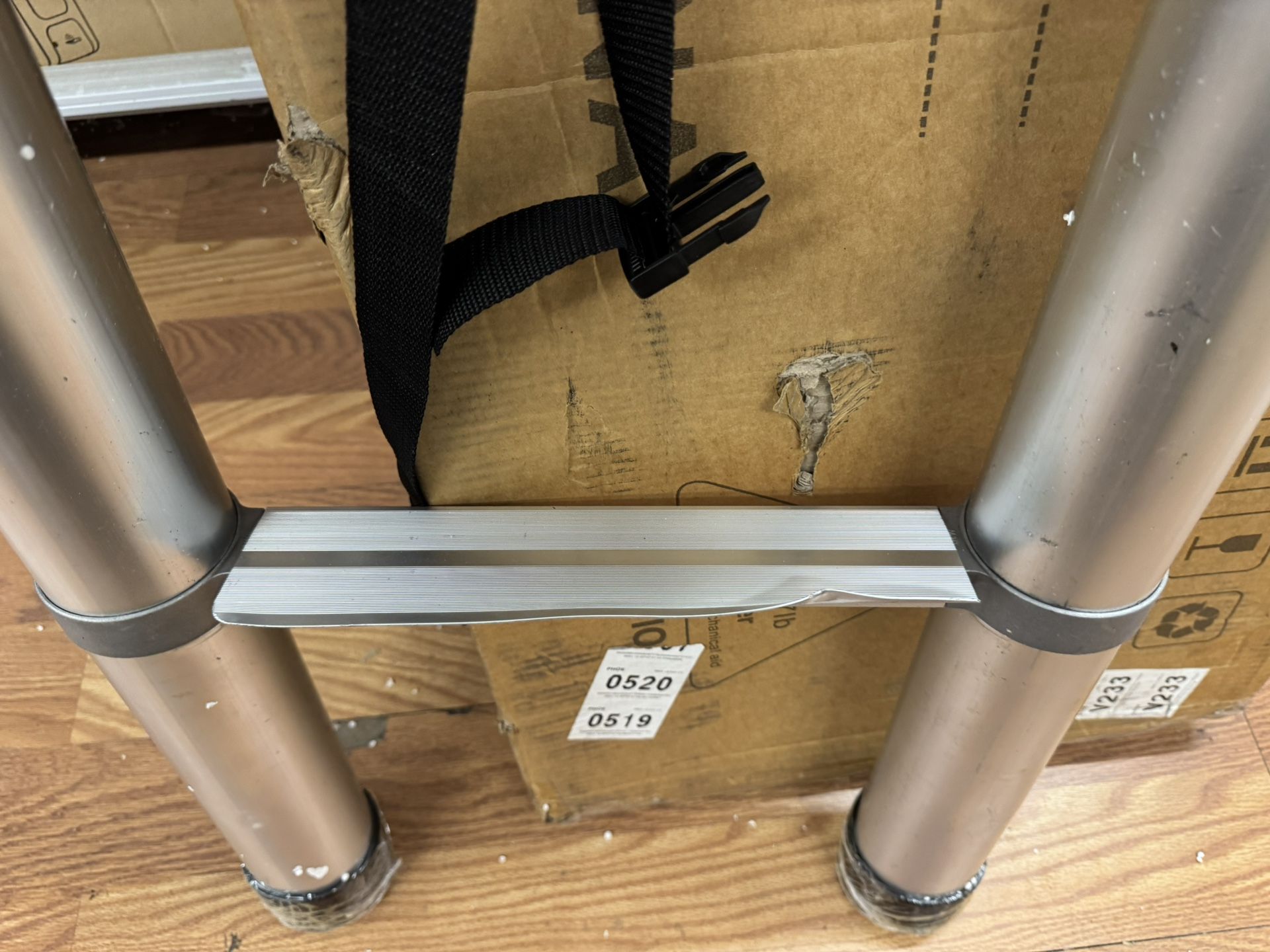 Telescoping Ladder