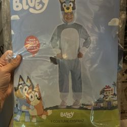 Kids Bluey Costume 