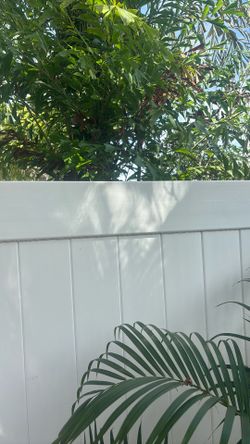 Vinyl fence rail