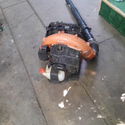 Echo Leaf Blower