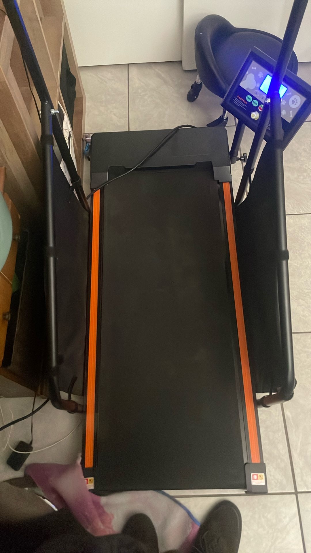 Dog Treadmill