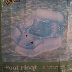 Baby pool float