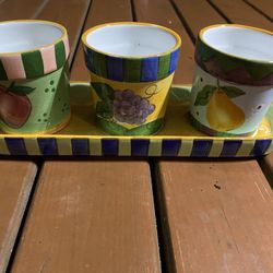 Succulent Planter Set