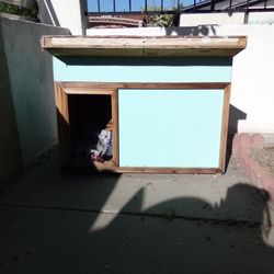 Dog House 