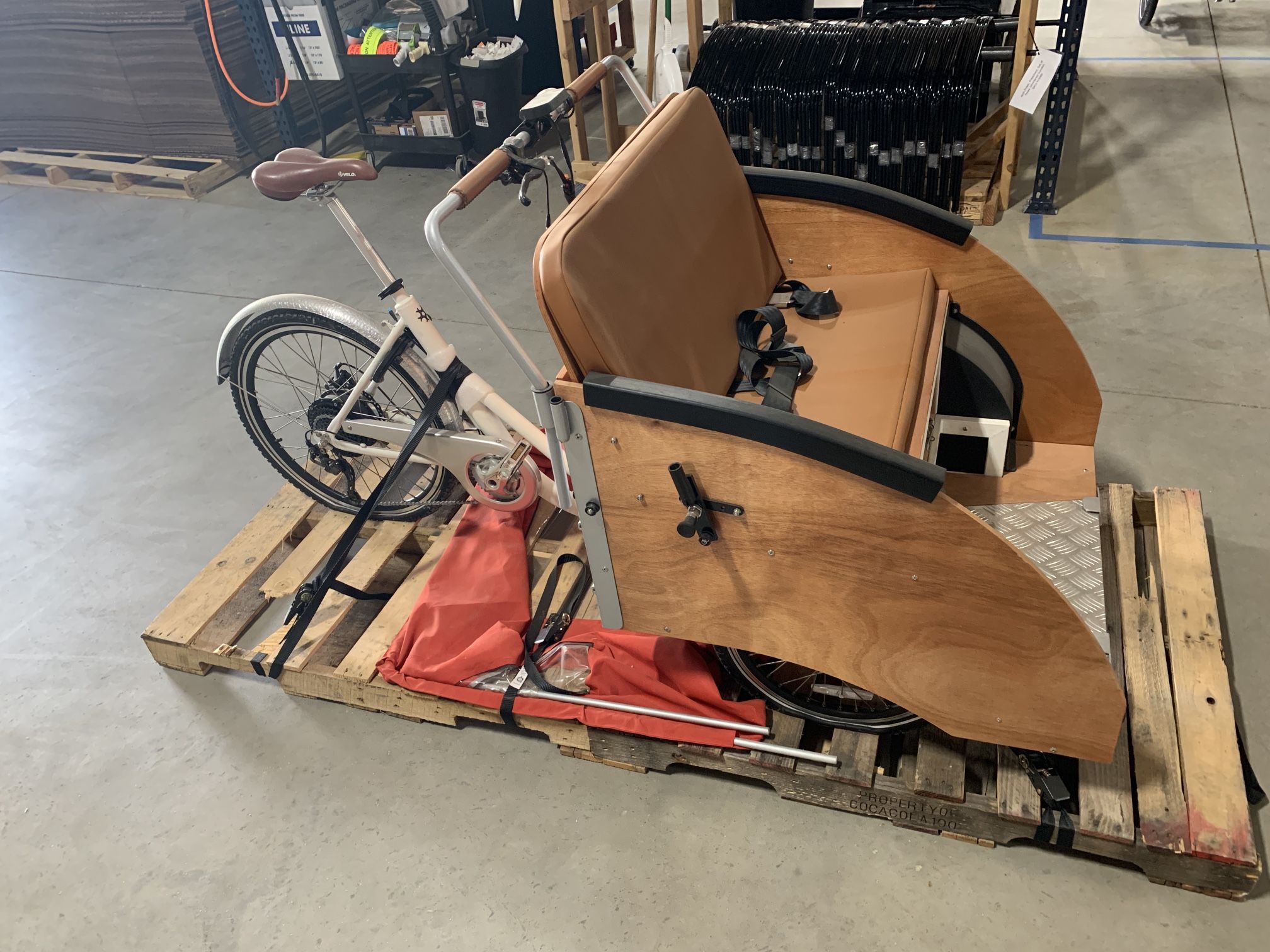 Electric Cargo Bike for Carrying Adults / Elderly