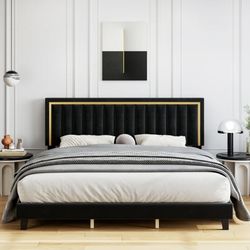 Black Velvet + Gold Queen Frame - HOS097