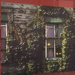 Light Up Picture Of Cats, Battery Operated- AA, Cats Eyes Light Up Through The Window.