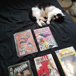 Comics