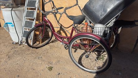 Trike beach cruiser