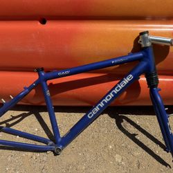 Cannondale MTB Frame & Head Shock