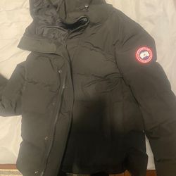 canada goose