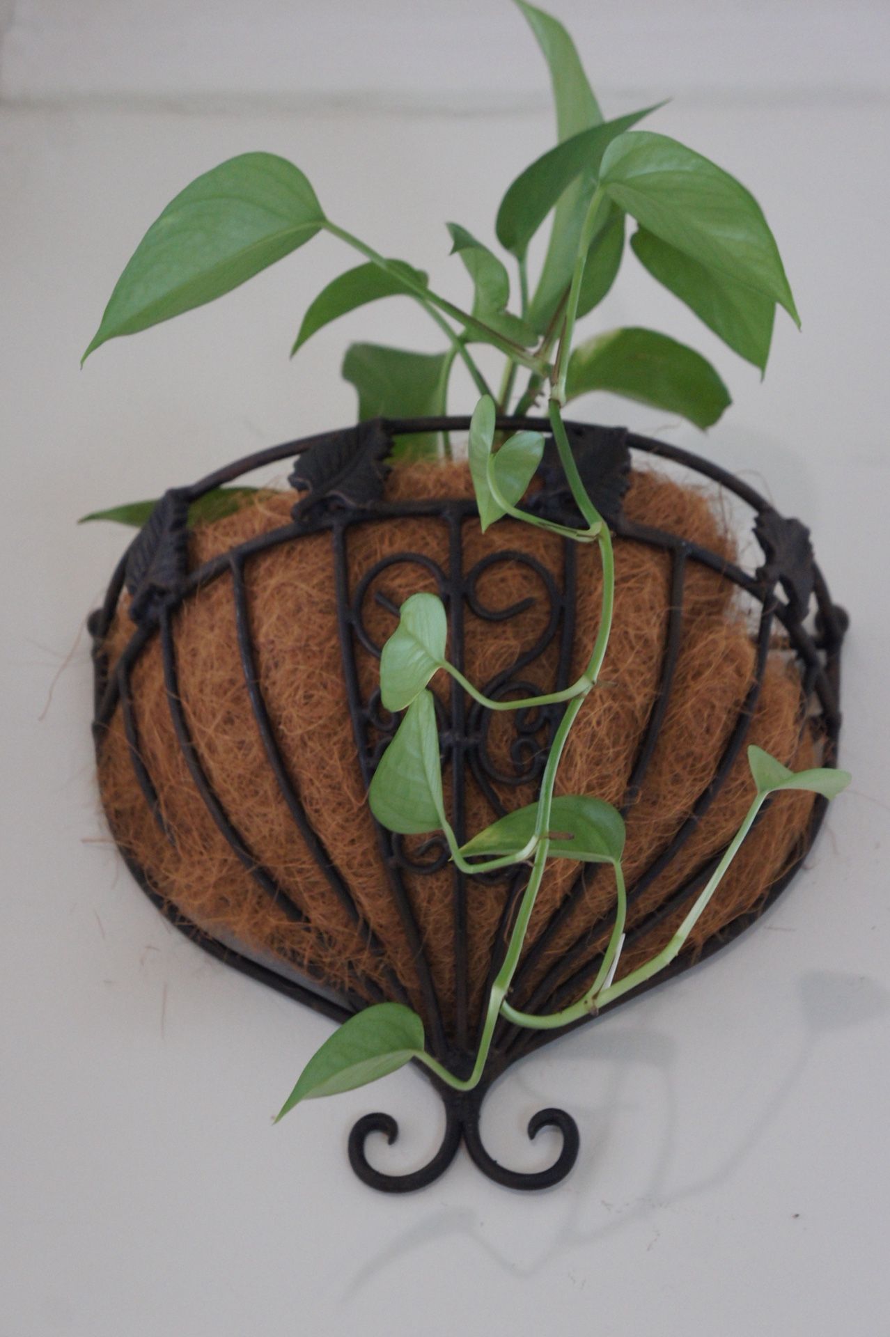 Set of 2 solid metal hanging planters