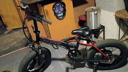 Electric  Ebike