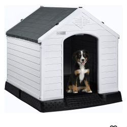 Dog House 