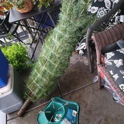 REAL CHRISTMAS TREE & STAND &  LIGHTS!!!