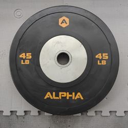 45 Ibs Olympic Bumper Plate 