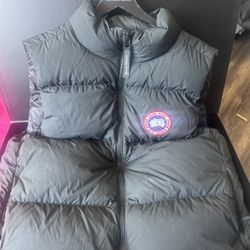 Lawrence Puffer Canada Goose