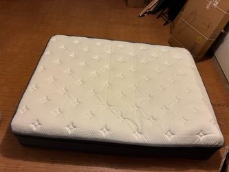 Two queen mattresses