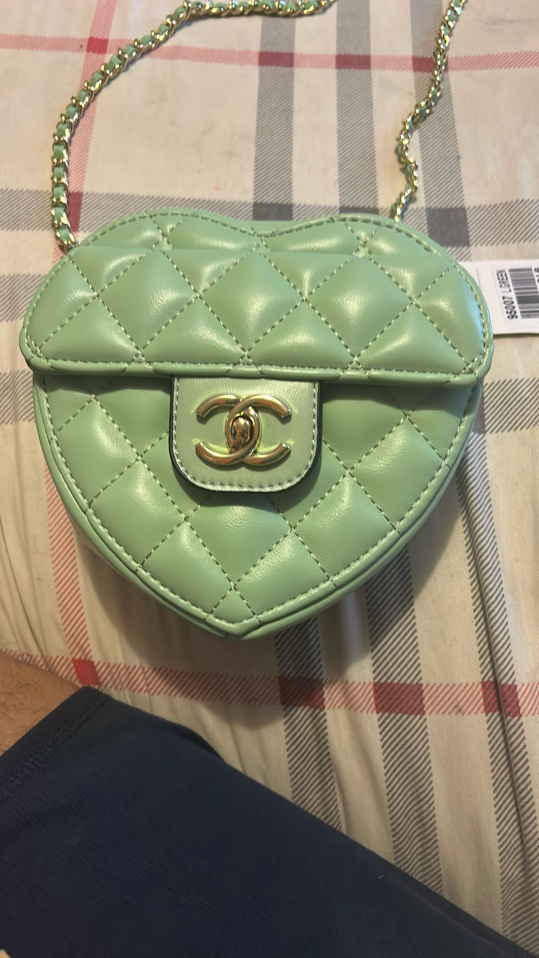 Mint Color Designer Heart Shape Bag