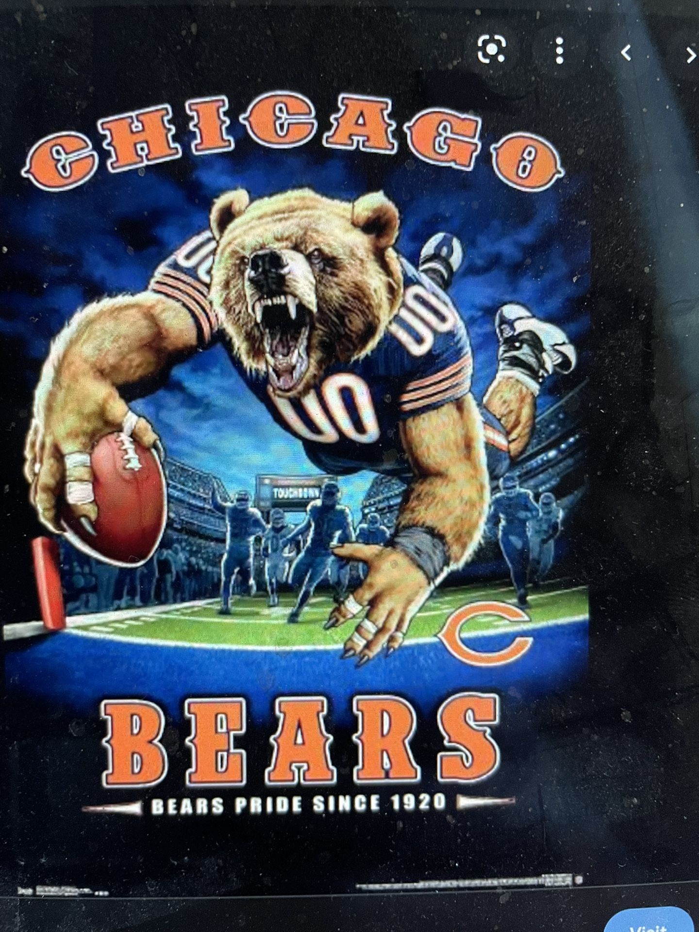 Chicago Bears Tickets