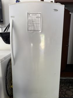 Stand Up Freezer