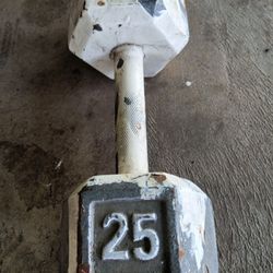 Dumbbell Single 25
