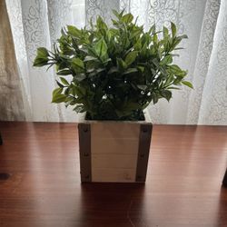 Artificial Plant In Wood Rustic Box