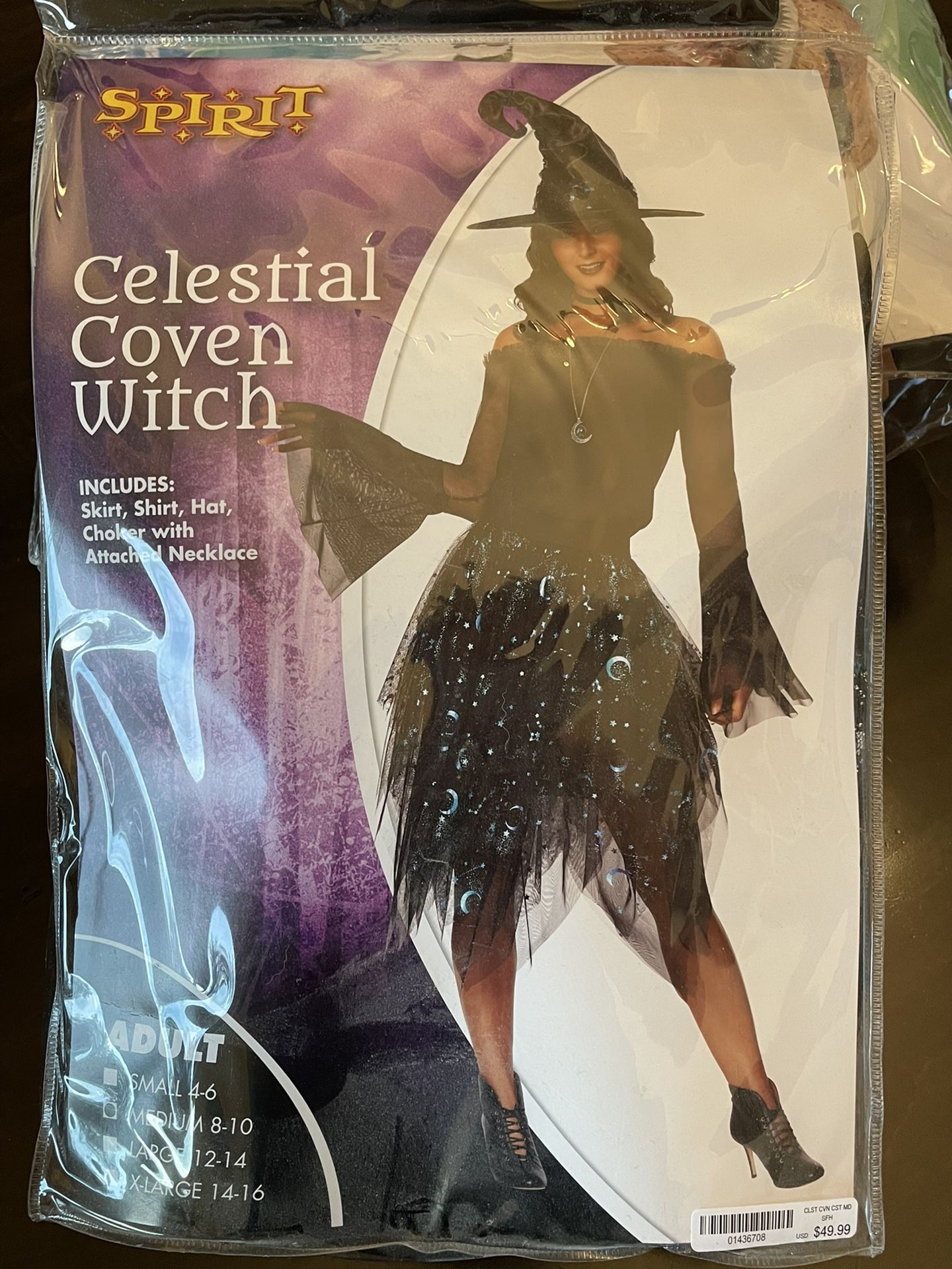 Witch Costume 