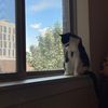 Katie