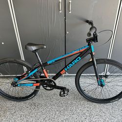 Harp Race Lite Pro 24 - Excellent Condition