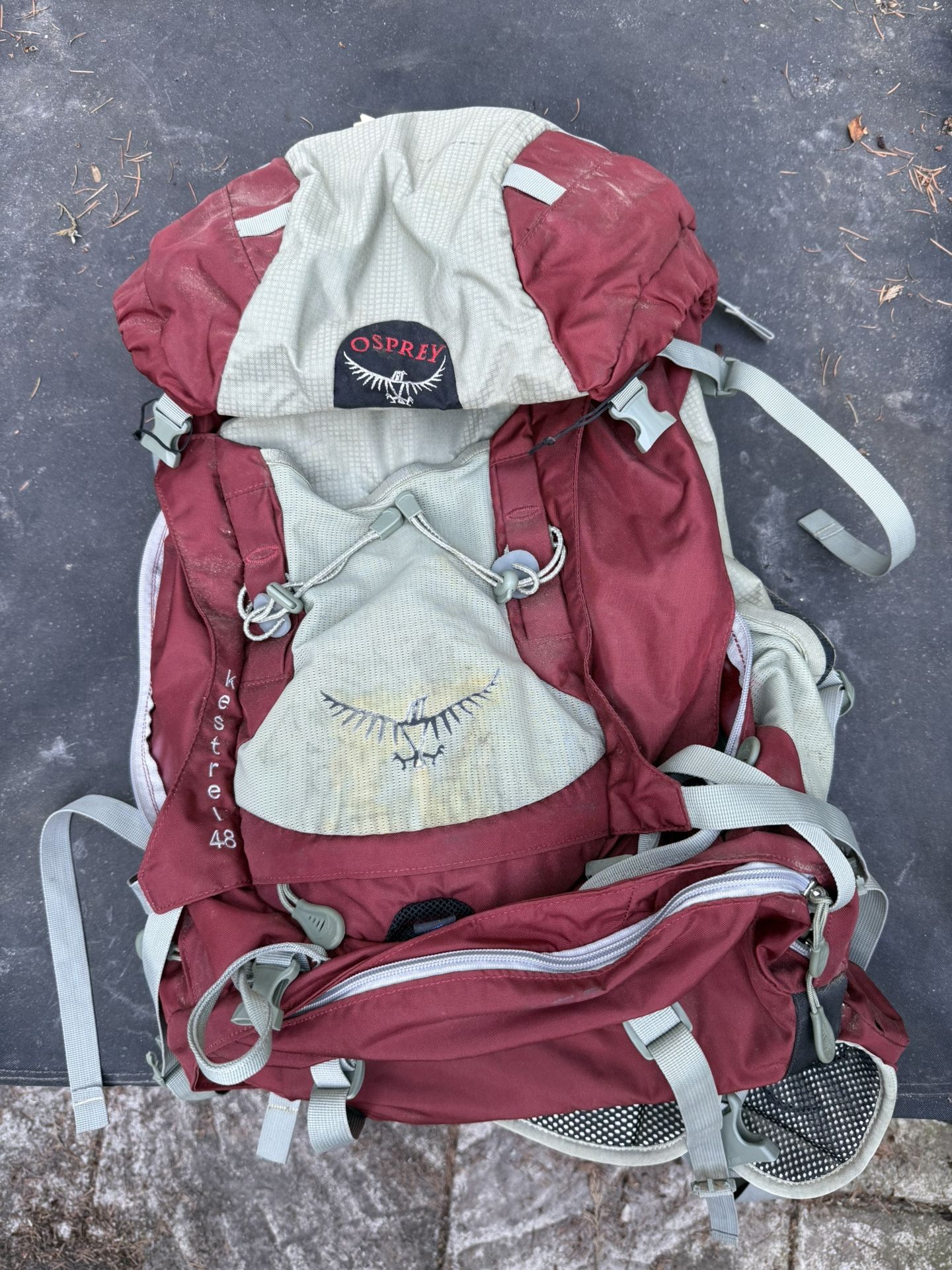 Osprey 48L Backpack