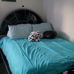 Twin Bed – Great Condition – $200 (Must Sell ASAP)