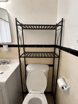 Toilet storage