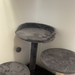 Cat House