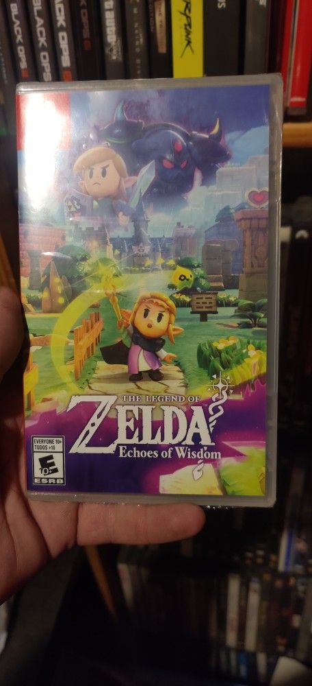 Zelda Echoes Of Wisdom