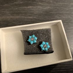 Turquoise Earrings 