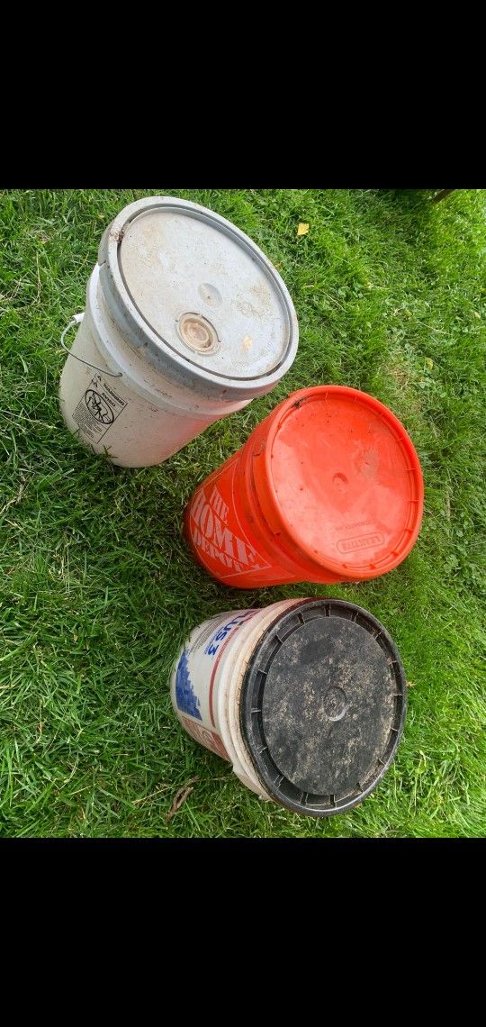 5 Gallons buckets with lids