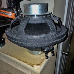 Speaker Drivers/2xmid Horns/1xhorn Tweeter/2x 10in Woofers & Crossover