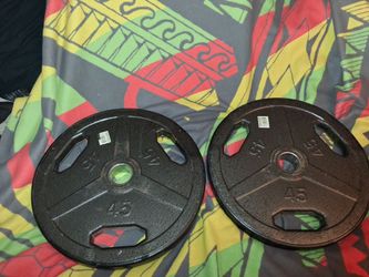 2 45 pound weight plates