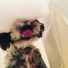 Oliver