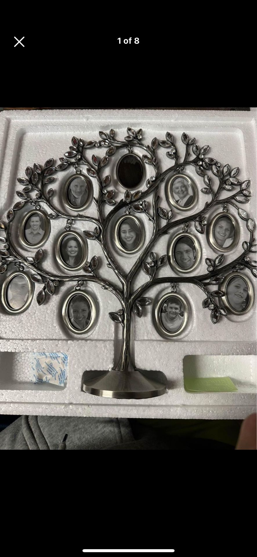 Silver Rhinestone Family Tree Display