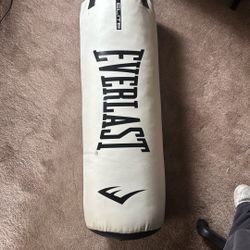 BOXING/PUNCHING BAG SETUP