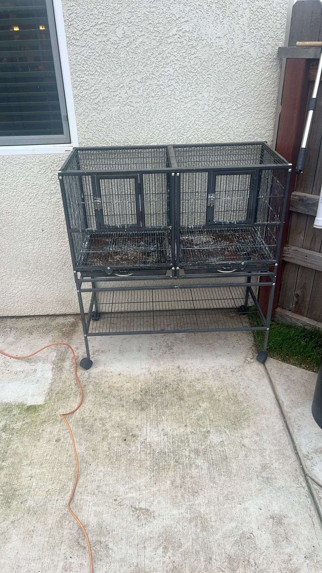 Bird Cage $100.00